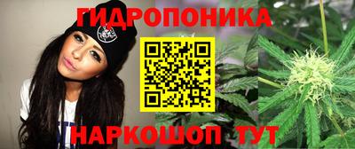 дживик Волжск