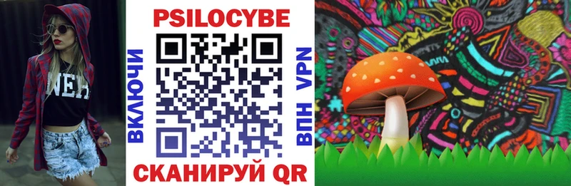 blacksprut маркетплейс  Нальчик  Псилоцибиновые грибы Magic Shrooms  купить наркоту 