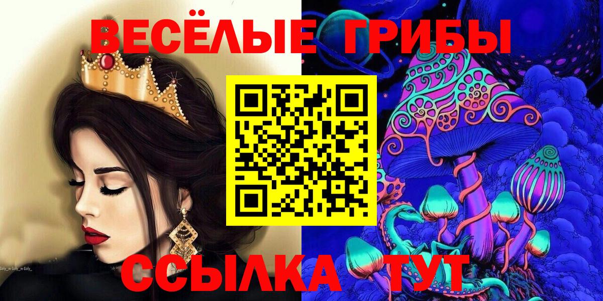Нальчик  Псилоцибиновые грибы мухоморы  Псилоцибиновые грибы Psilocybe  дарнет шоп  Вход с VPN 