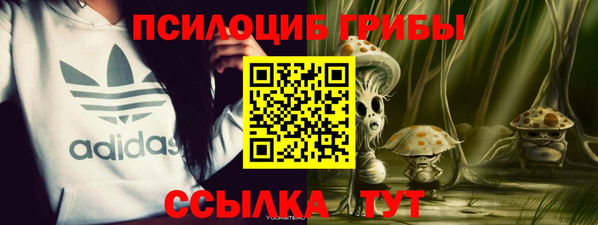 Галлюциногенные грибы ЛСД Нальчик